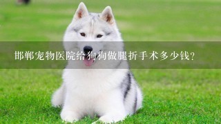 邯郸宠物医院给狗狗做腿折手术多少钱？