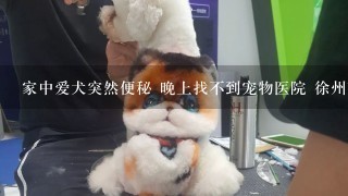 家中爱犬突然便秘 晚上找不到宠物医院 徐州市区西关附近有没有晚上9点以后还营业的宠物医院