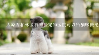 太原万柏林区有哪些宠物医院可以给猫咪做绝育?价格大概在多少?