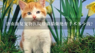 济南康复宠物医院给猫猫做绝育手术多少钱？