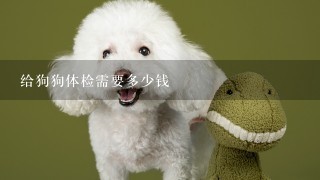 给狗狗体检需要多少钱