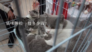 猫咪体检1般多少钱？