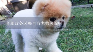 合肥政务区哪里有宠物医院呀？