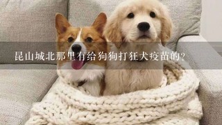 昆山城北那里有给狗狗打狂犬疫苗的?