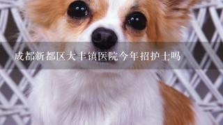 成都新都区大丰镇医院今年招护士吗