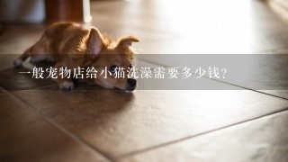 1般宠物店给小猫洗澡需要多少钱?