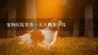 宠物医院寄养1天大概多少钱