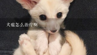 犬瘟怎么治疗啊