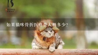 如果猫咪骨折医疗费大概多少？