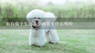 狗狗做个生化多少钱是干什么用的