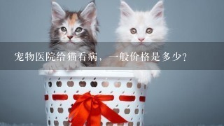 宠物医院给猫看病，1般价格是多少？