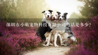 深圳市小萌宠物科技有限公司电话是多少？