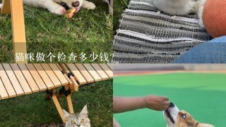 猫咪做个检查多少钱？