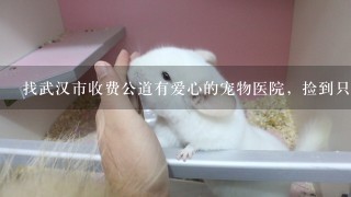找武汉市收费公道有爱心的宠物医院，捡到只流浪猫，骨折了，急需看病。谢谢大家！