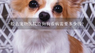 1般去宠物医院给狗狗看病需要多少钱？