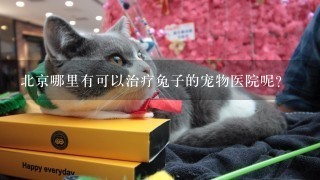北京哪里有可以治疗兔子的宠物医院呢？