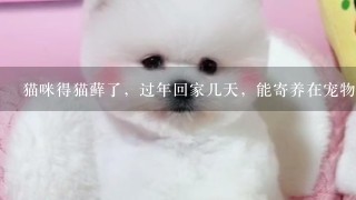 猫咪得猫藓了，过年回家几天，能寄养在宠物店吗，多