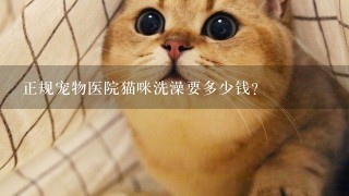 正规宠物医院猫咪洗澡要多少钱?