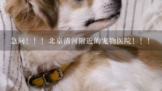 急问！！！北京清河附近的宠物医院！！！