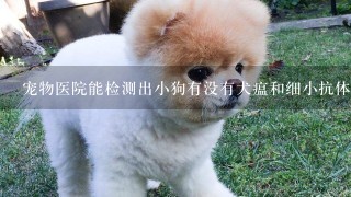 宠物医院能检测出小狗有没有犬瘟和细小抗体啊？