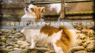 上海市嘉定区有哪些正规的宠物医院？地址及电话？