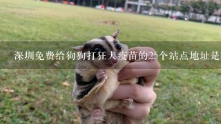 深圳免费给狗狗打狂犬疫苗的25个站点地址是哪里
