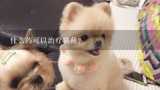 什么药可以治疗猫藓？