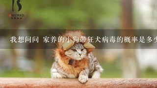 我想问问 家养的小狗带狂犬病毒的概率是多少?