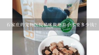 石家庄的宠物医院猫咪做绝育手术要多少钱？