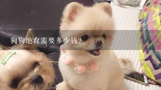 狗狗绝育需要多少钱？