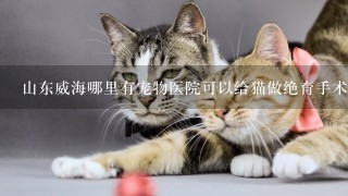 山东威海哪里有宠物医院可以给猫做绝育手术？