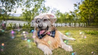 南京有哪些宠物市场，狗狗要是健康的！