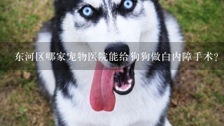 东河区哪家宠物医院能给狗狗做白内障手术？