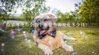 给猫咪绝育全套下来总共需要花多少钱？