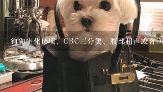 狗狗生化16项、CBC3分类、腹部超声或者DR正侧两面