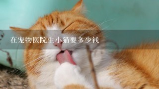 在宠物医院生小猫要多少钱