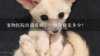 宠物医院给猫看病，1般价格是多少？