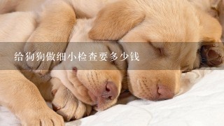 给狗狗做细小检查要多少钱