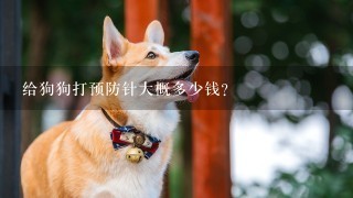 给狗狗打预防针大概多少钱？