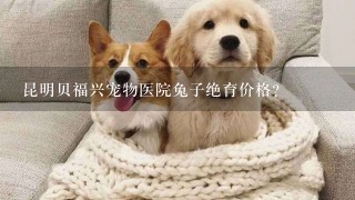 昆明贝福兴宠物医院兔子绝育价格？