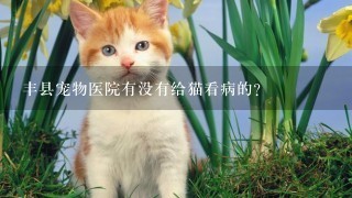 丰县宠物医院有没有给猫看病的？