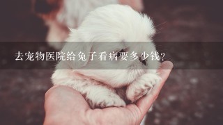 去宠物医院给兔子看病要多少钱？