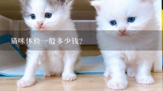 猫咪体检1般多少钱？