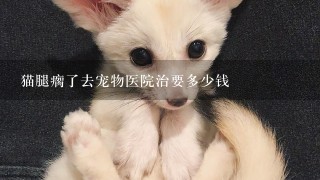 猫腿瘸了去宠物医院治要多少钱