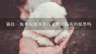 猫挂1瓶水应该多少钱宠物医院真的很黑吗