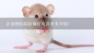 去宠物医院给猫打疫苗要多少钱?