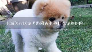 上海闵行区龙茗路附近有些什么宠物医院?