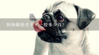 狗狗做绝育手术1般多少钱？