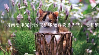 济南惠康宠物医院猫咪绝育要多少钱？还有猫咪绝育前要做什么准备吗？猫咪是捡来的刚满