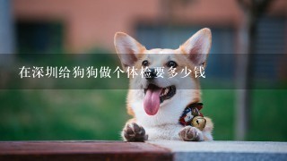 在深圳给狗狗做个体检要多少钱